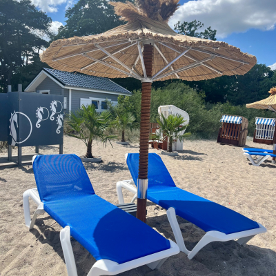 Strand 36 - Sonnenliegen Strand 36 - Sonnenliegen