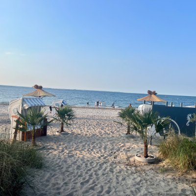 Strand 36 - Welcome to the Beach Strand 36 - Welcome to the Beach